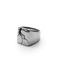 Fracture